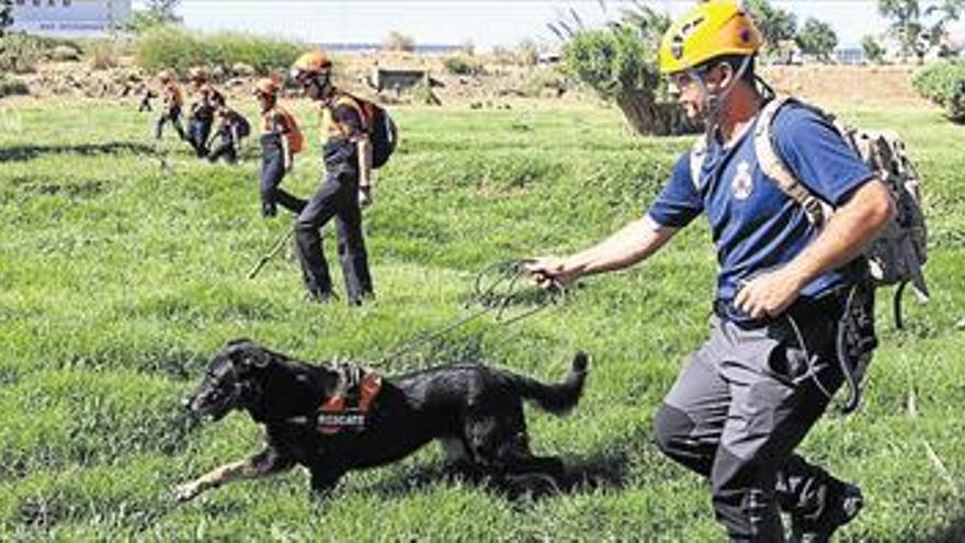 Simulacro de búsqueda de personas con perros