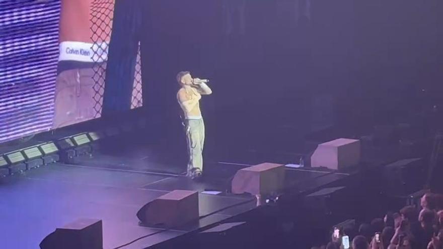 Dani Fernández, con  el hombro vendado, reanuda el concierto en el Roig Arena