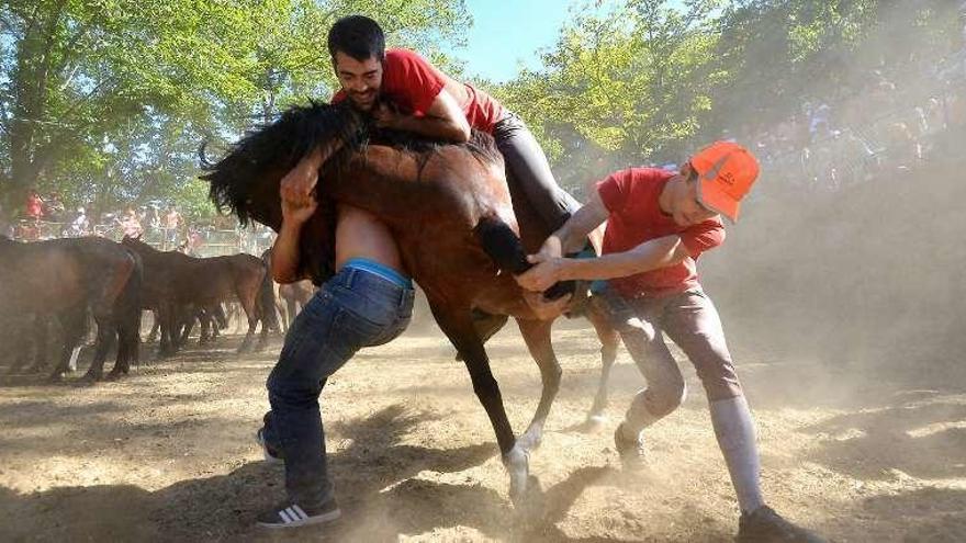 Tres &quot;aloitadores&quot; con uno de los potros. // G.S.