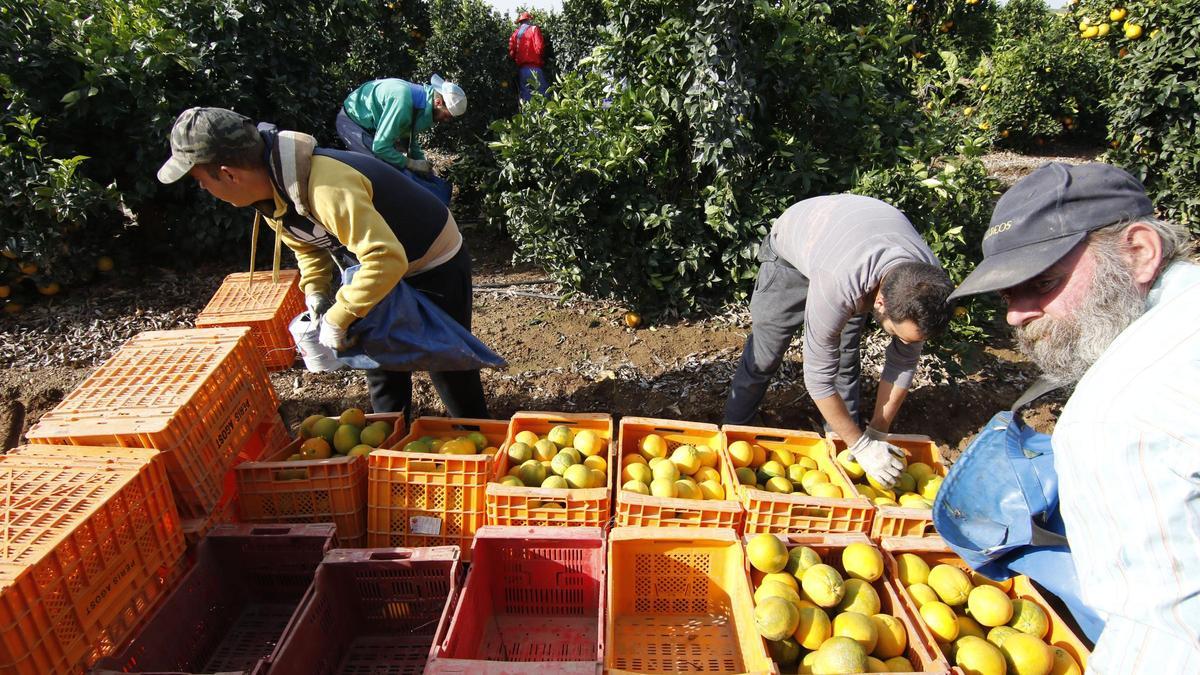 El objetivo de la Ley es que no se vendan productos agrarios a un precio inferior a su coste de producción.