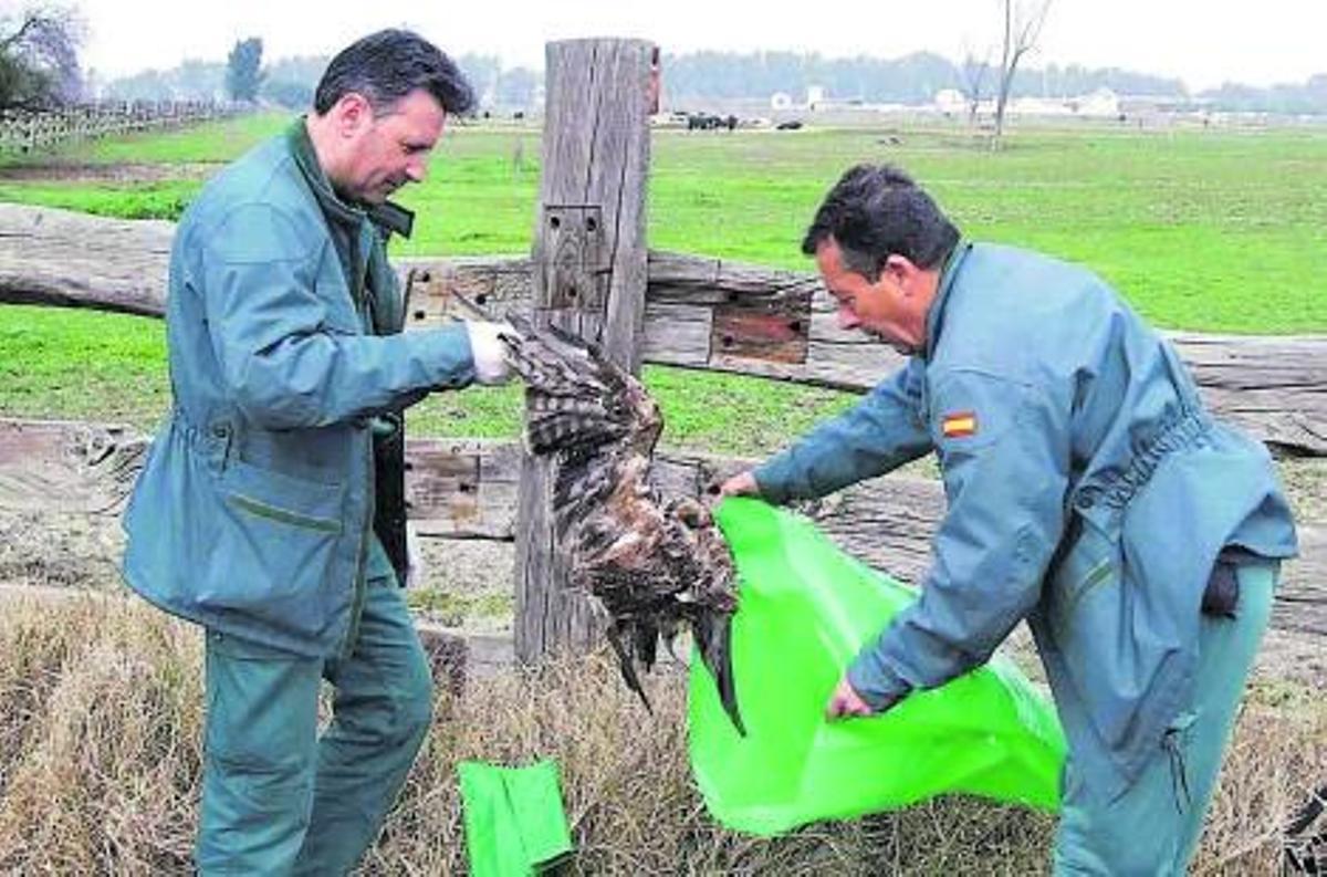 delitos ecológicos: demasiada impunidad