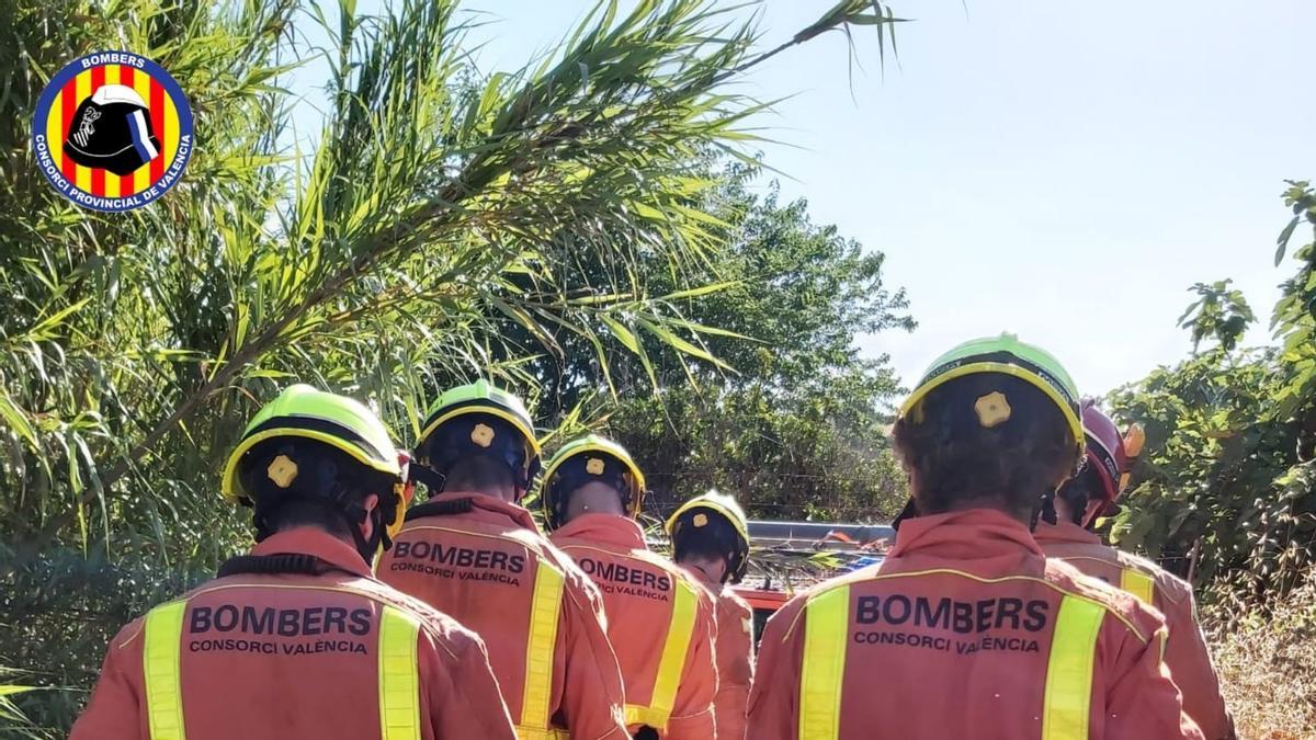 embotellamiento amortiguar Anuncio Herido un hombre tras caer con su coche en un barranco en Riba-roja de Túria  - Levante-EMV