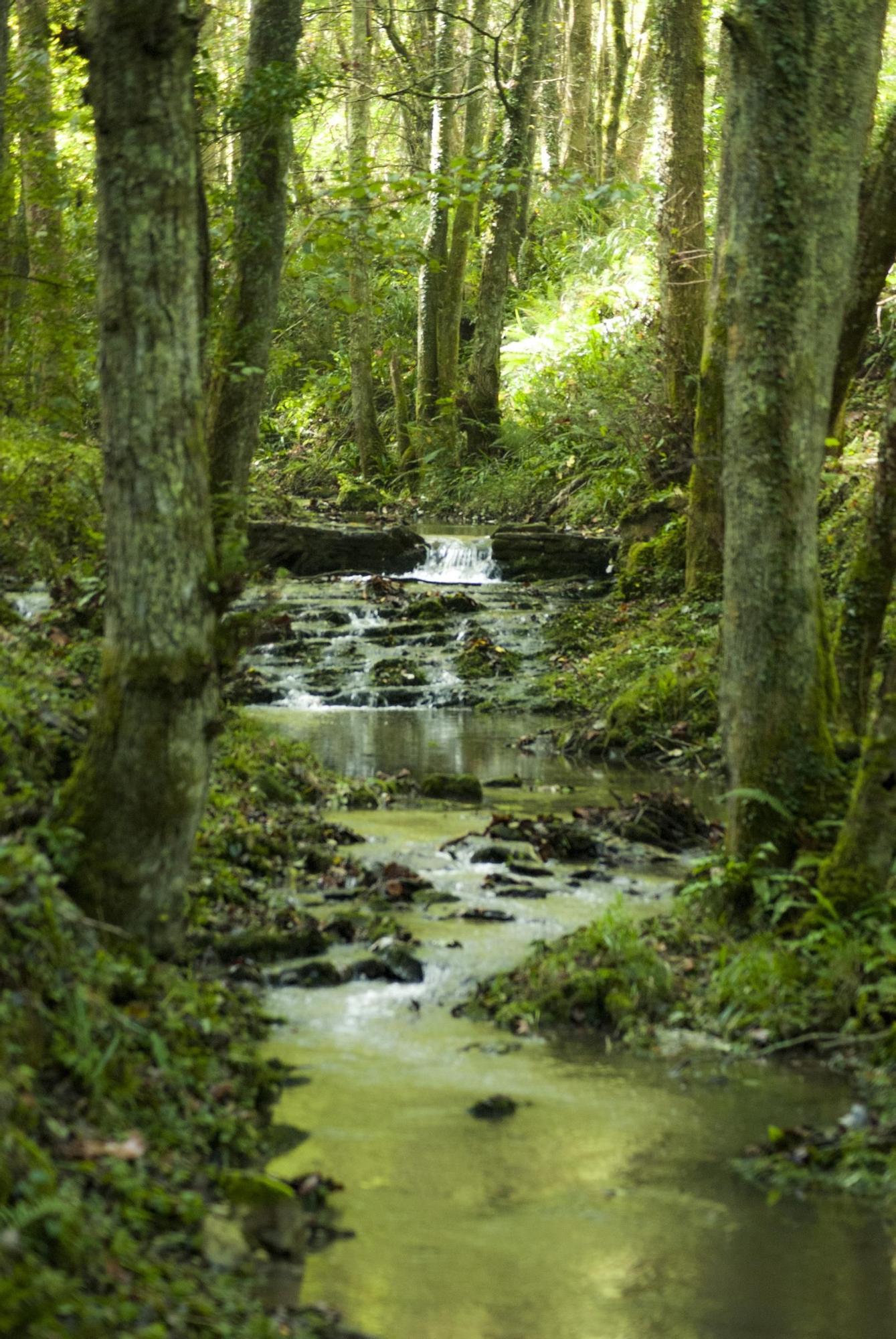 Parque Nacional de Pagoeta