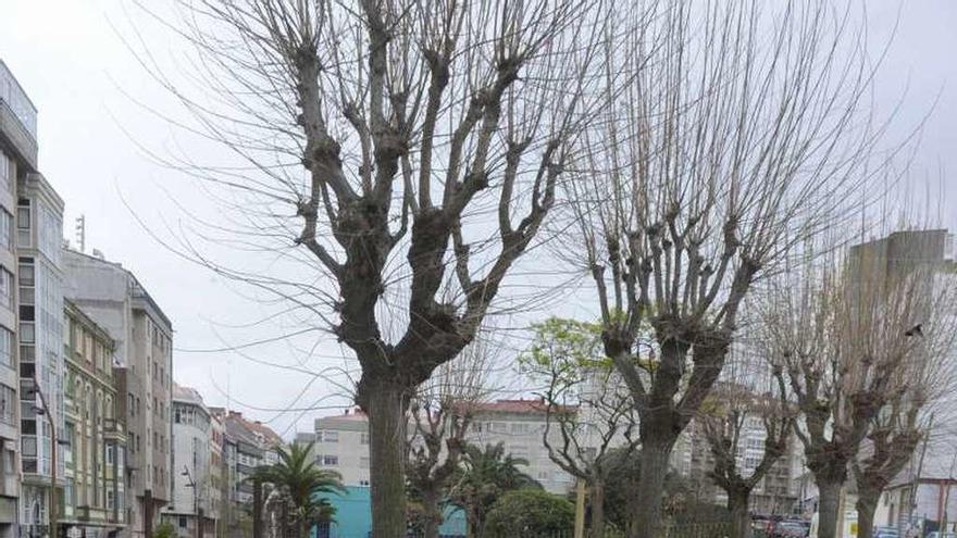 Obras, en 2011, en el corredor verde de la calle Orillamar.