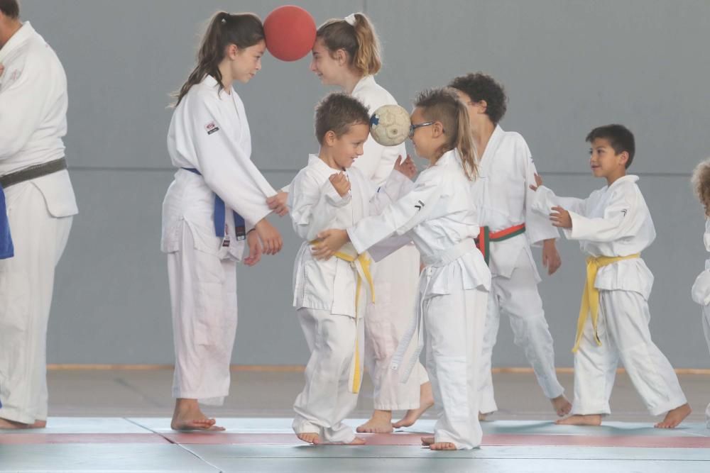 Judo para todos