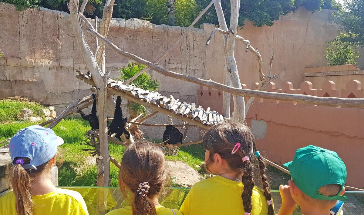 Al finalizar el evento, todos los asistentes inscritos podrán quedarse a disfrutar de Terra Natura hasta las 18:00 h