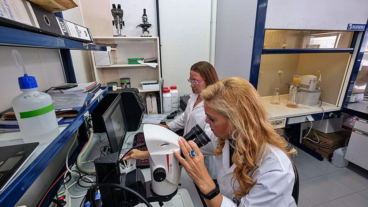Las investigadoras Stefanie Reinold y May Gómez, en el laboratorio. | | ULPGC