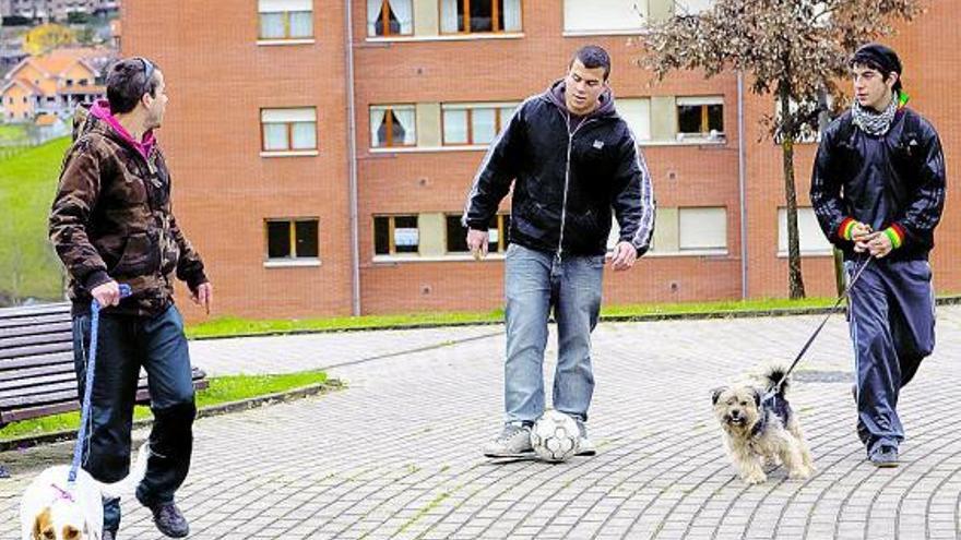 Tres jóvenes pasean a sus perros por las zonas ajardinadas de Las Campas.