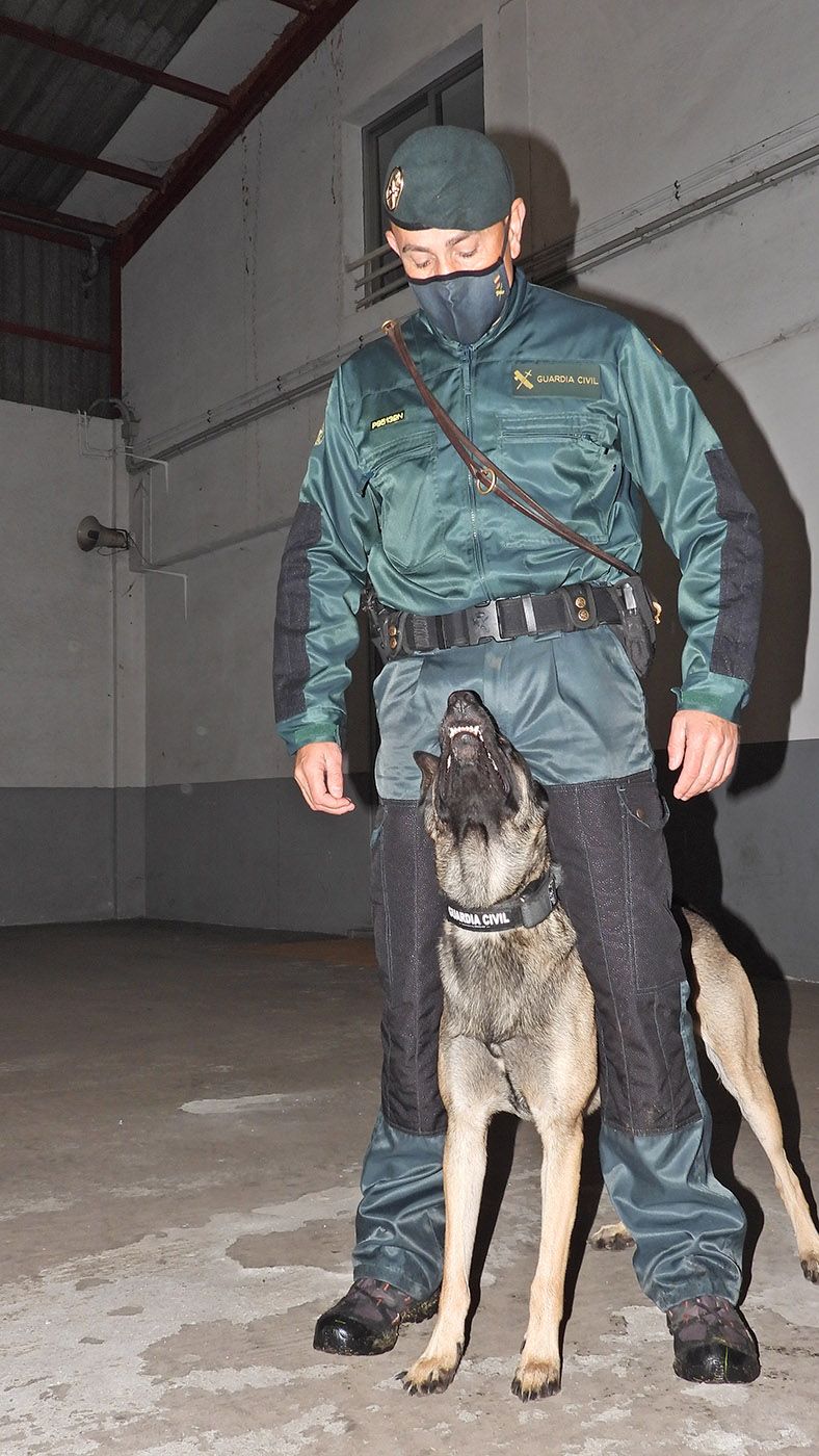 Un agente de la Guardia Civil con su perro, en Ourense
