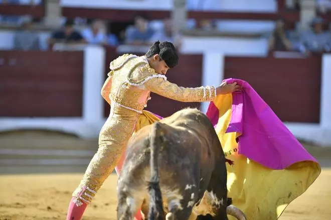 Fotogalería | Las imágenes de la novillada con picadores de la feria de Cáceres