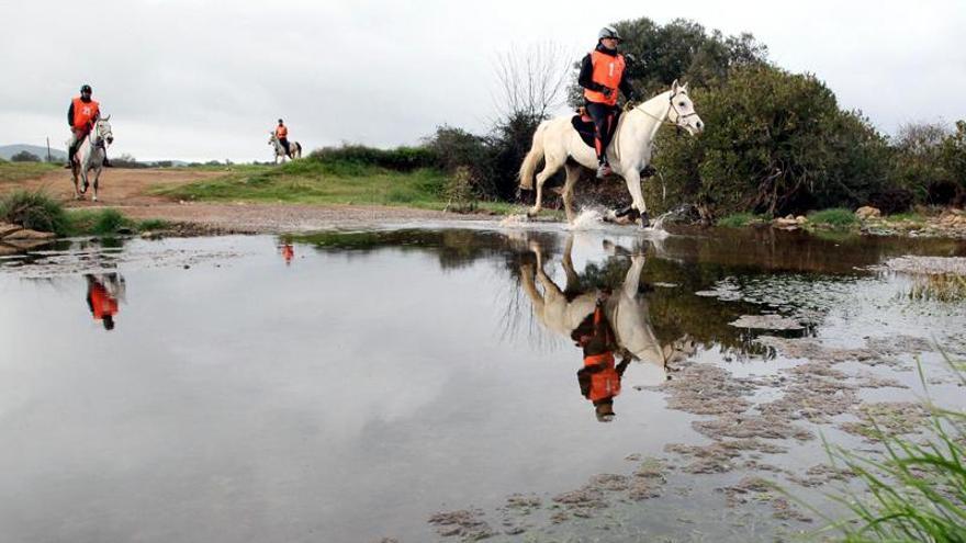 El raid hípico de Fuente Obejuna estrena un nuevo trazado