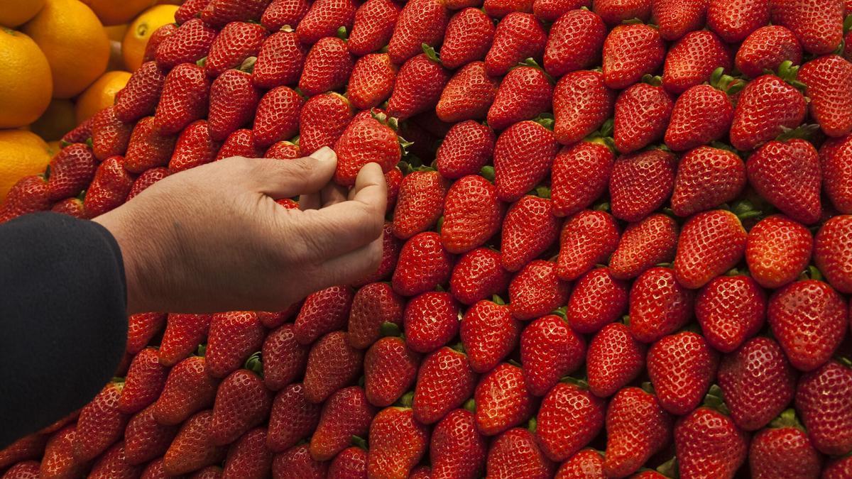 Fresas en un puesto de un mercado municipal.