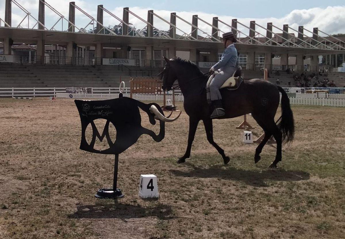 Equina Galicia comienza al trote