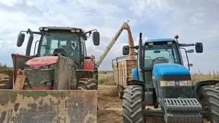 Aragón vigila con atención el impacto de la nueva PAC en el futuro de su sector primario