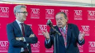 Vicente Boluda (AVE) insta al Consell a apoyar la propuesta de financiación autonómica del Gobierno: "Lo que va davant, va davant"