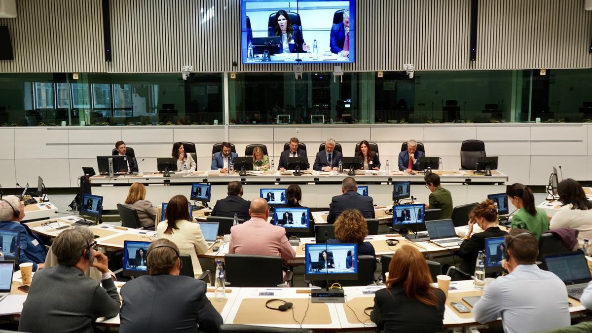 Momento de la sesión celebrada en Bruselas.
