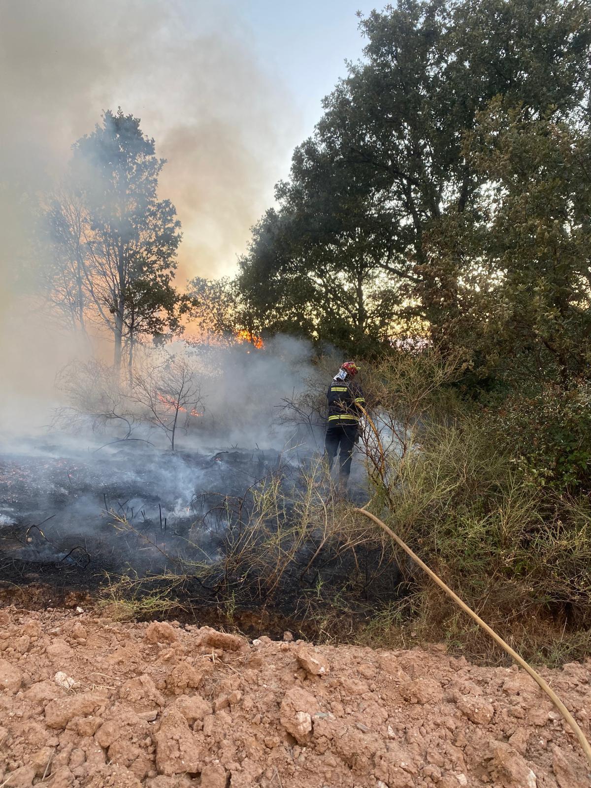 GALERÍA | Incendio forestal en Rábano de aAliste GALERÍA | Incendio forestal en Rábano de aAliste