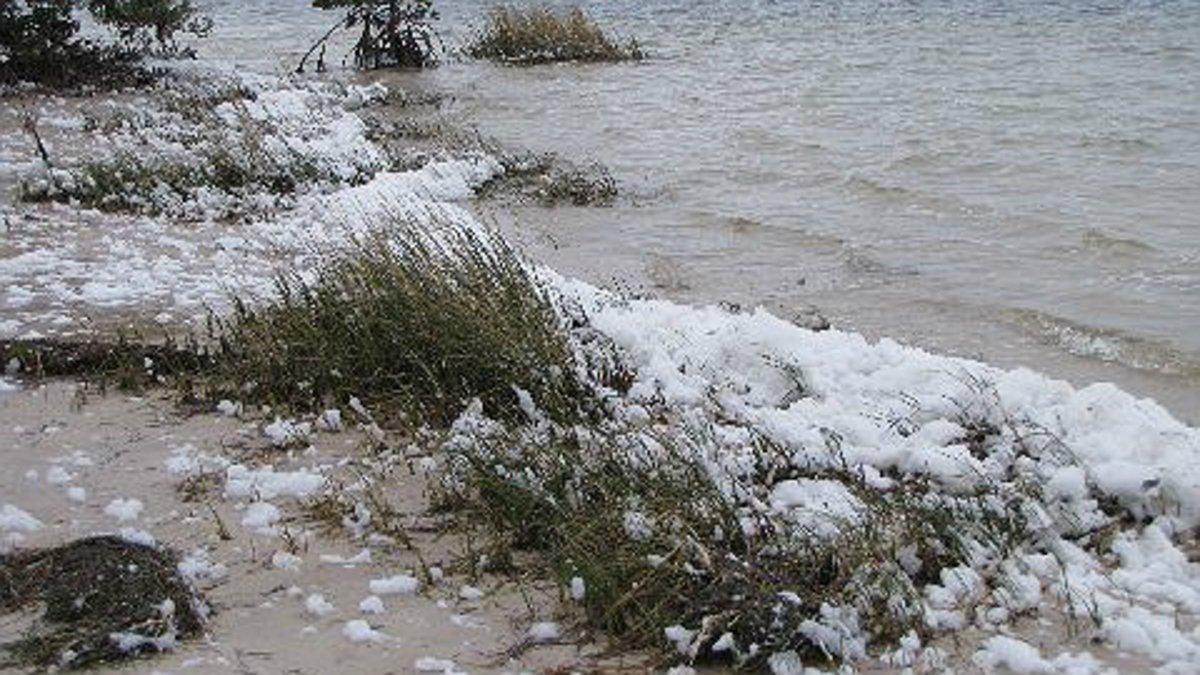 Nieve a orillas del mar en Florida (Estados Unidos)