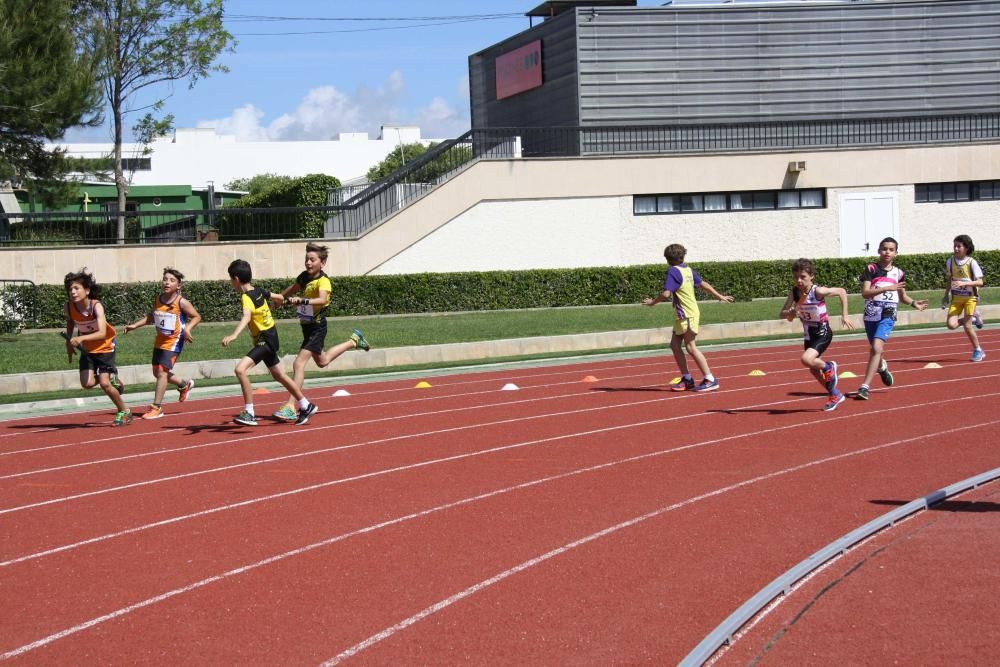 Atletismo insular