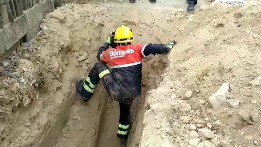 Los bomberos rescatan a un gato atrapado bajo tierra en Guardamar