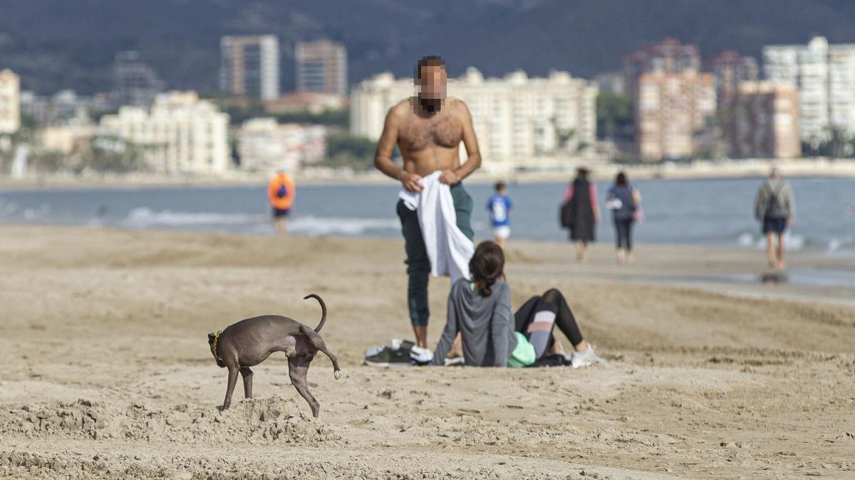 Un perro micciona en la Playa de San Juan.