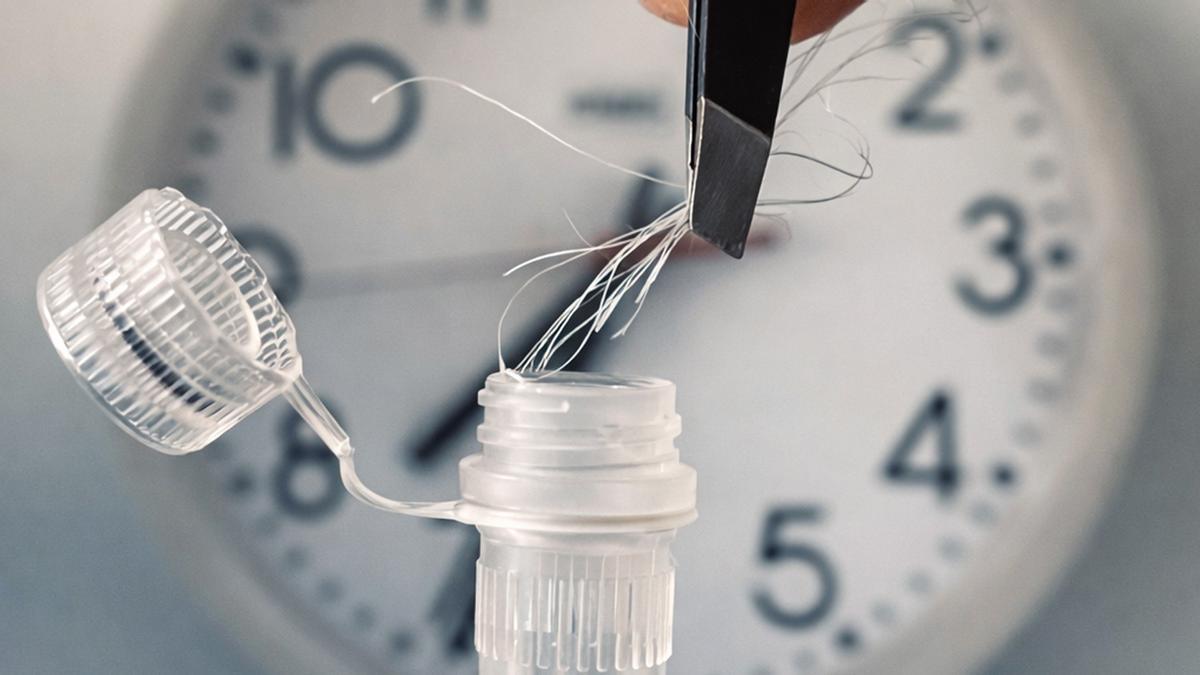 Una sola muestra de cabello es suficiente para determinar el ritmo individual del reloj biológico.