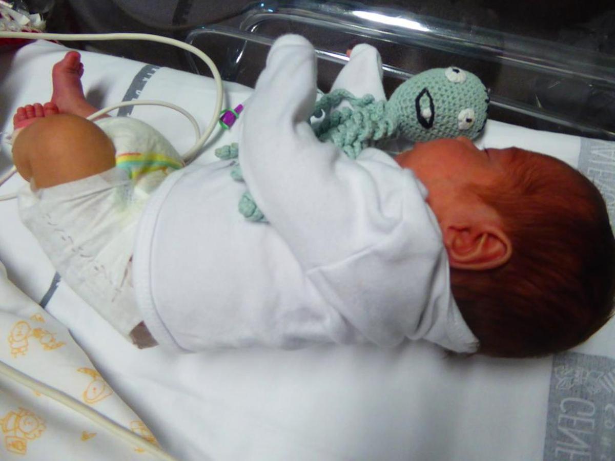 Pulpos de ganchillo para prematuros