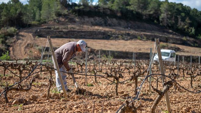 Catalunya té poca població rural, perquè la majoria dhabitants es concentren als municipis urbans