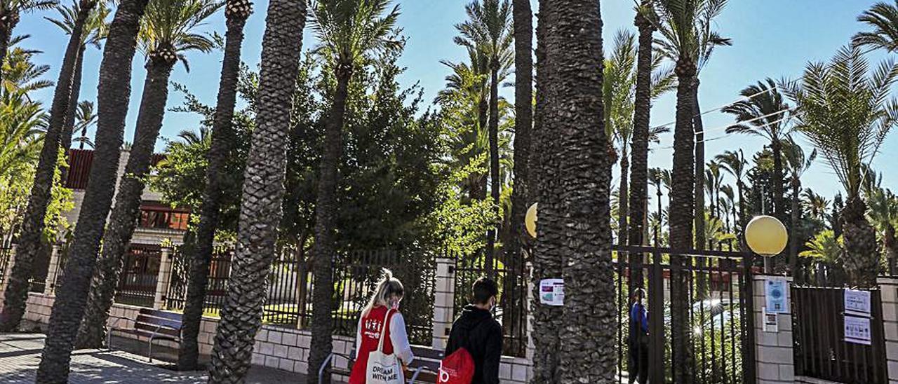 Volem Palmerar critica la fumigación con un plaguicida junto a un colegio público | ANTONIO AMORÓS