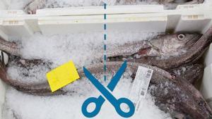 La UE va retallar a Espanya 16 milions en quotes de lluç ibèric només l’última dècada