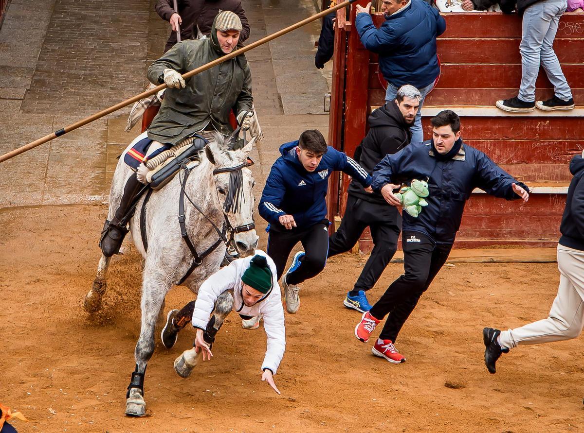 Carnaval del Toro en Ciudad Rodrigo (Salamanca)