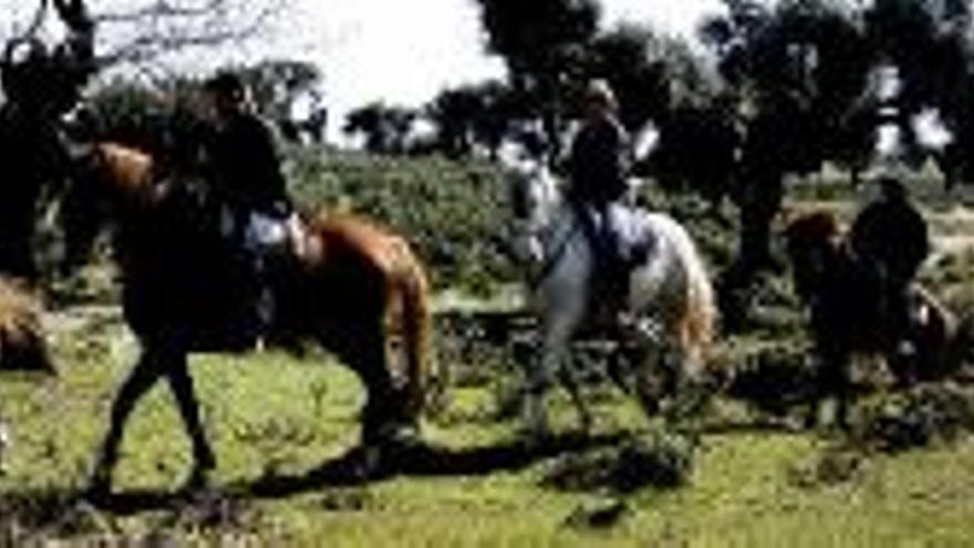 El Valle del Alagón organiza rutas a caballo y una feria de artesanía