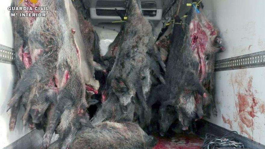 La Guardia Civil interviene más de 11 toneladas de carne de caza