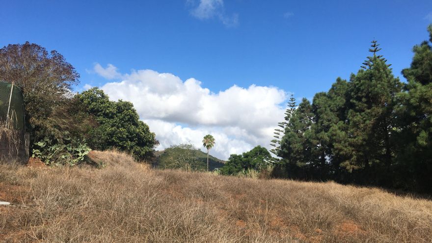 Pocas nubes, pero lluvias débiles: así será el tiempo este martes en Canarias