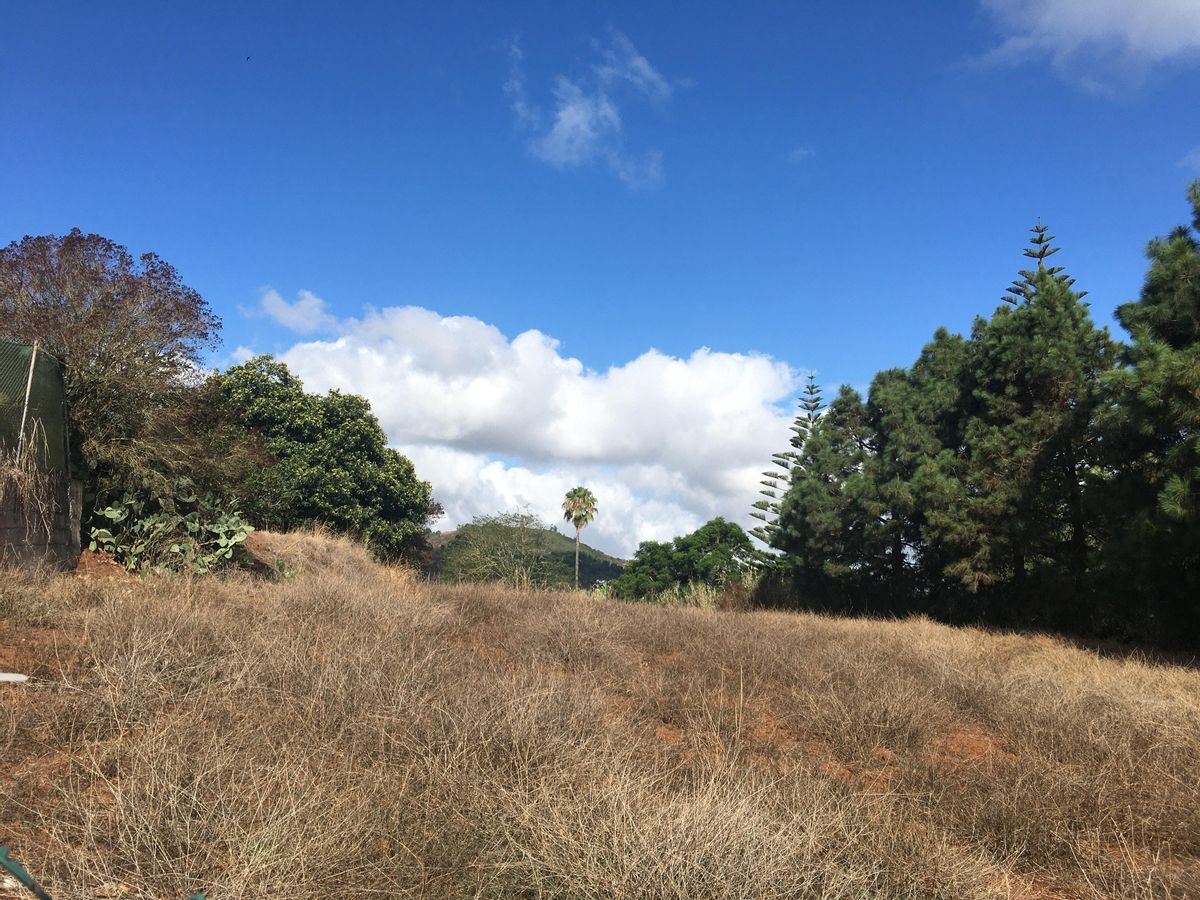 Partly cloudy skies this Saturday