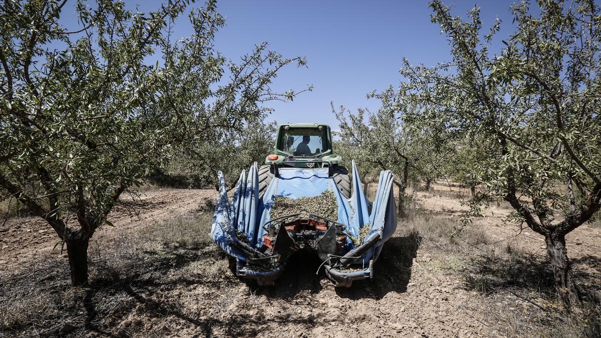 Imagen de archivo de un agricultor durante la campaña de almendra