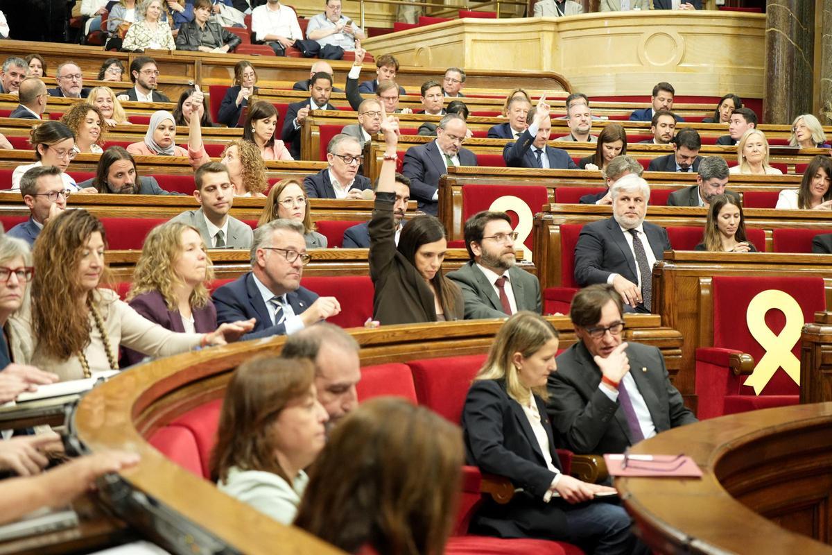 Ple del Parlament.