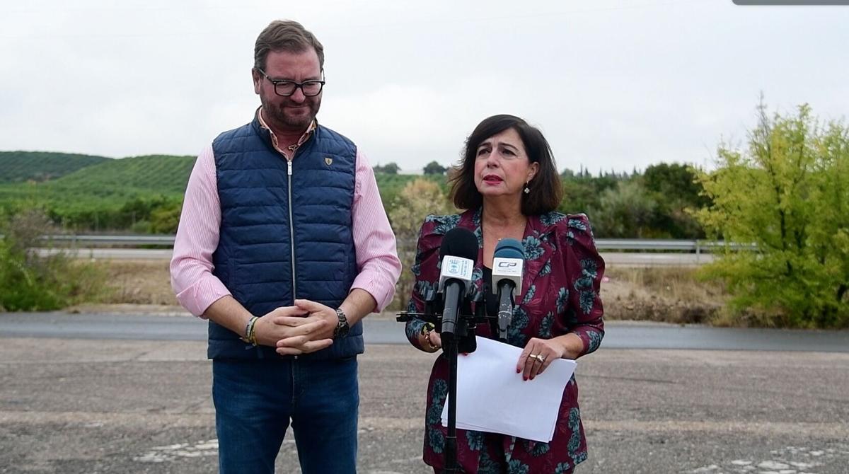 Antonio Martín y Matilde Esteo informan sobre la pasarela de la carretera A-431.