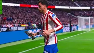 El aplaudido gesto de Giménez en el Metropolitano: sacó una paloma herida del campo