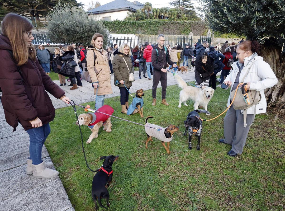 Un grupo de personas paseando a sus perros.