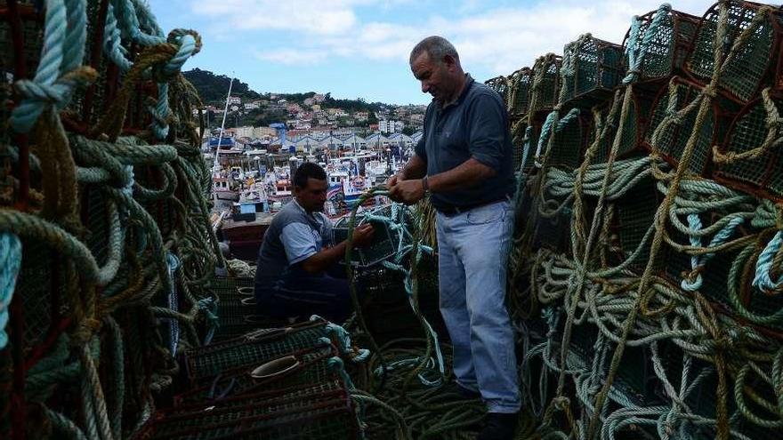 Marineros en el puerto de Bueu preparando las nasas para regresar hoy al mar tras la veda.