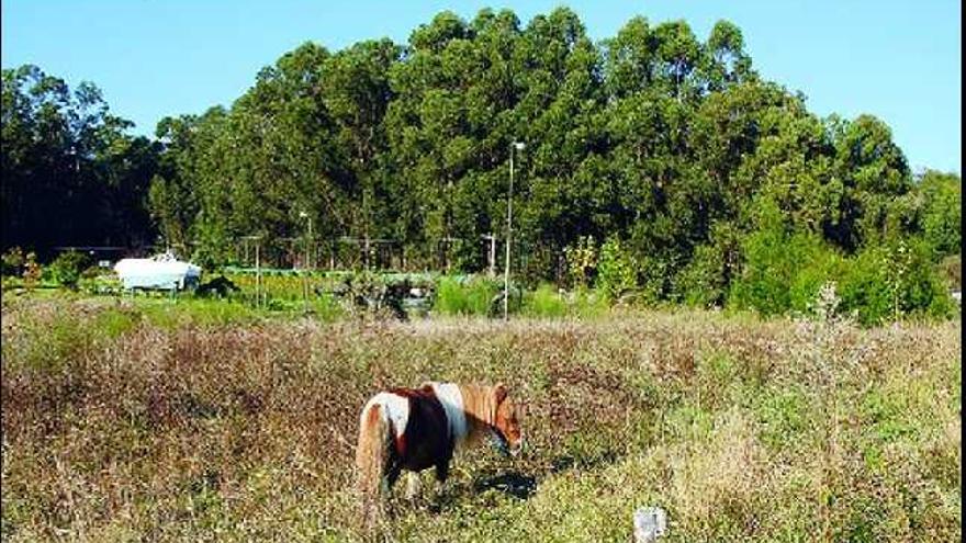 Los terrenos están ubicados muy cerca del polígono industrial de Castiñeiras y prácticamente frente a las instalaciones de Nodosa. / gonzalo núñez