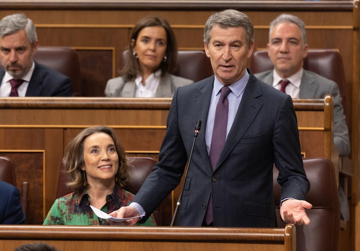 La secretaria general del PP, Cuca Gamarra, y el presidente del PP, Alberto Núñez Feijóo, durante el pleno del Congreso.