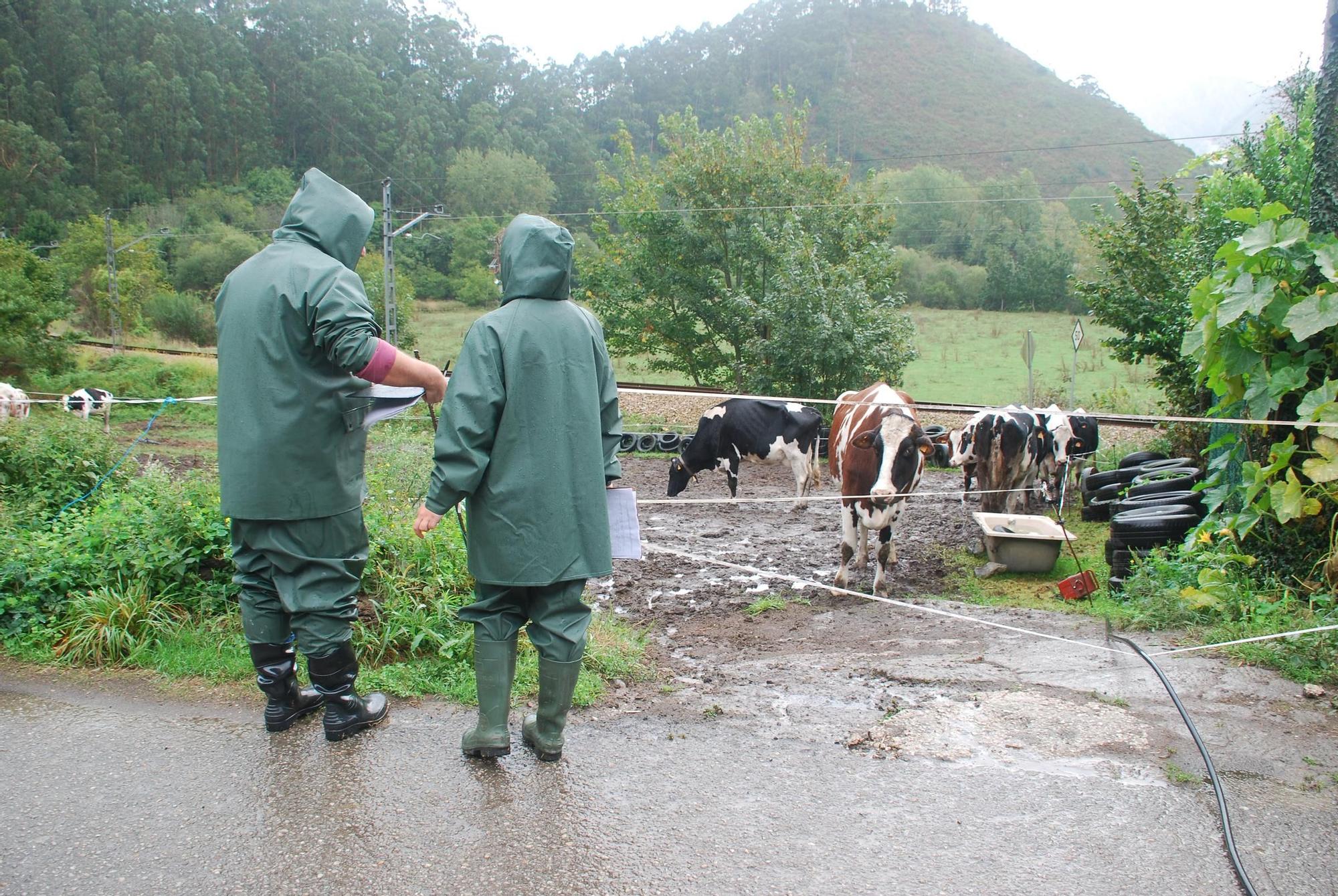 Crimen de Cueves (Ribadesella)