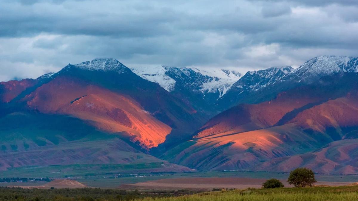 Vista de las montañas de Tian Shan. Estudiando genomas de plagas antiguas, los investigadores rastrearon los orígenes de la Peste Negra hasta Asia Central, cerca del lago Issyk Kul, en lo que ahora es Kirguistán.