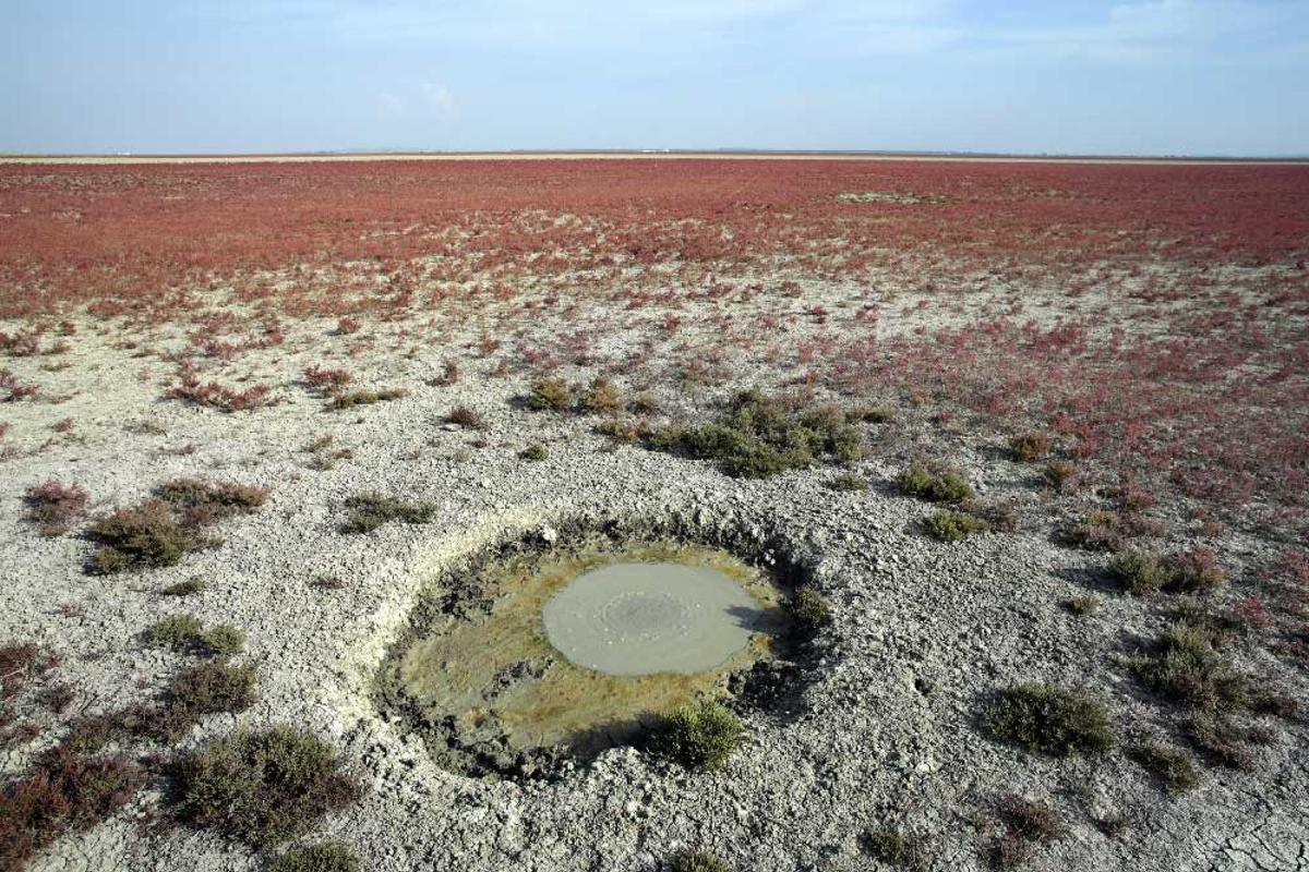 La situación de Doñana preocupa a los científicos