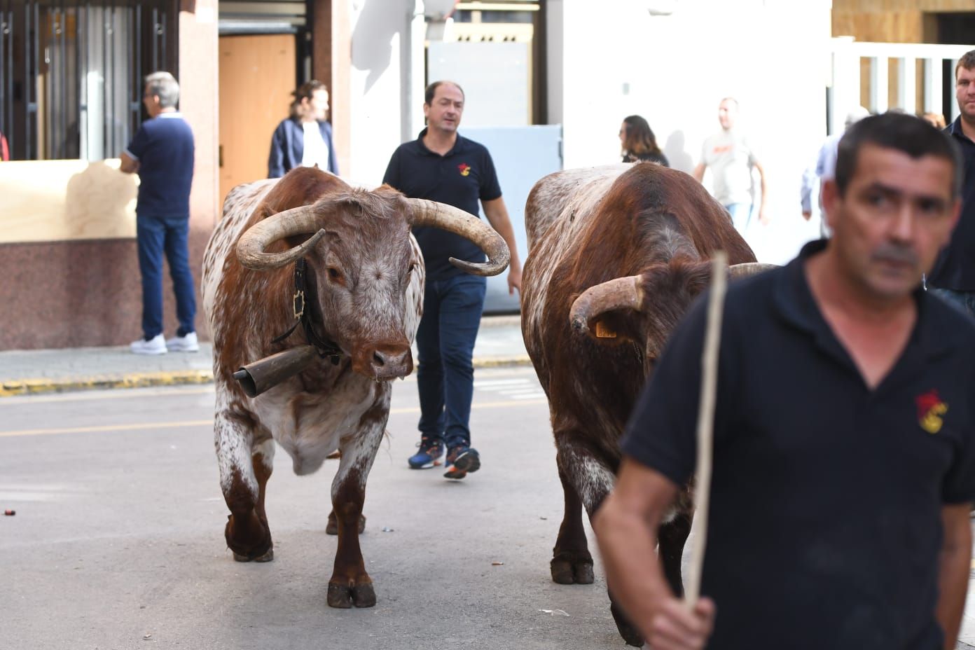 Las mejores imágenes del primer encierro de la Fira d'Onda