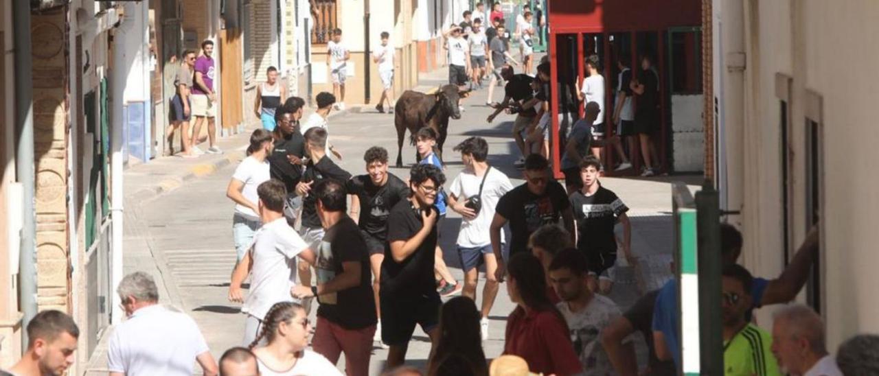 Los toros toman las calles de Canet con las fiestas de Sant Pere