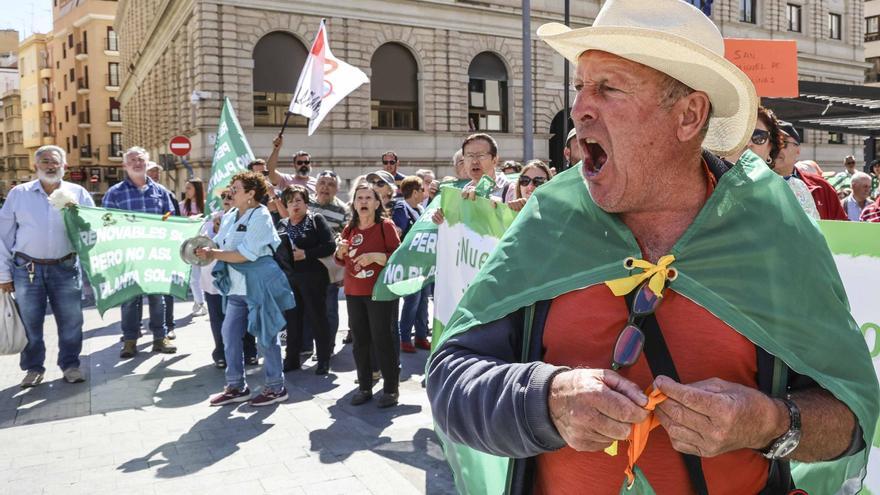 San Miguel de Salinas lleva el rechazo a la planta solar de la desaladora de Torrevieja al centro de Alicante