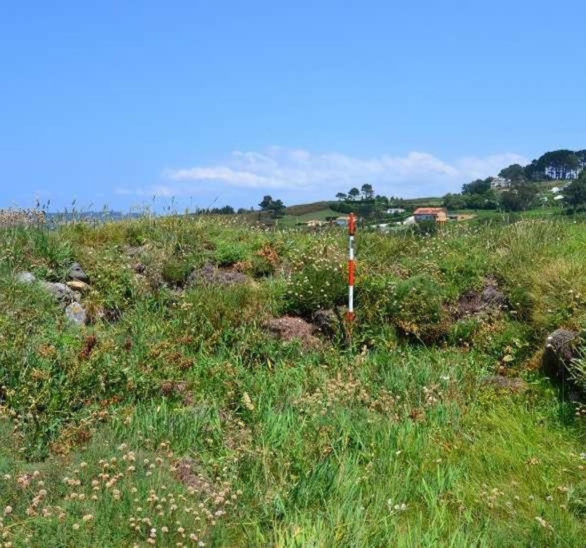 Identifica e documenta un castro descoñecido en Oleiros